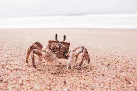 glen carrie 3vrobebbjya unsplash