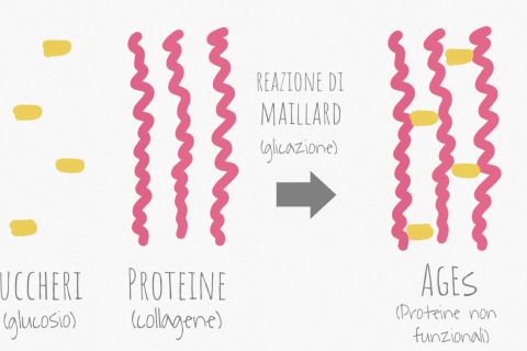 beautycologa carnosine glicazione