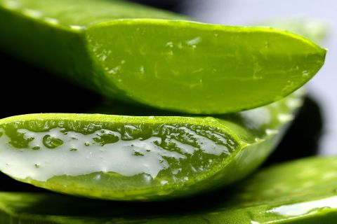 aloe beautycologa gel