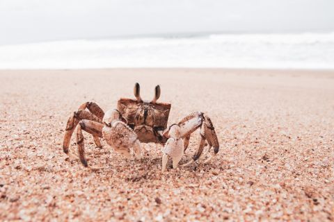 glen carrie 3vrobebbjya unsplash