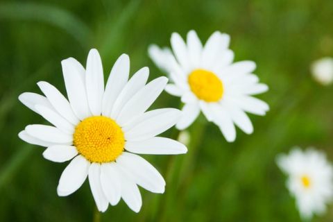 janice gill cvoa6ntxul4 unsplash
